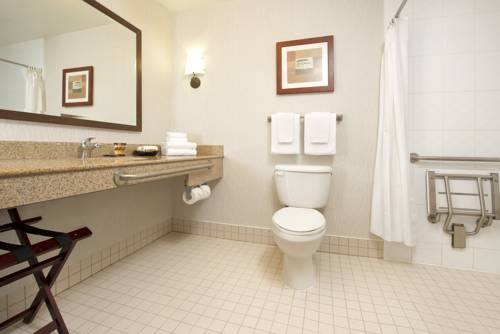 Imagen de la habitación del Hotel Gold Eagle Lodge. Foto 8