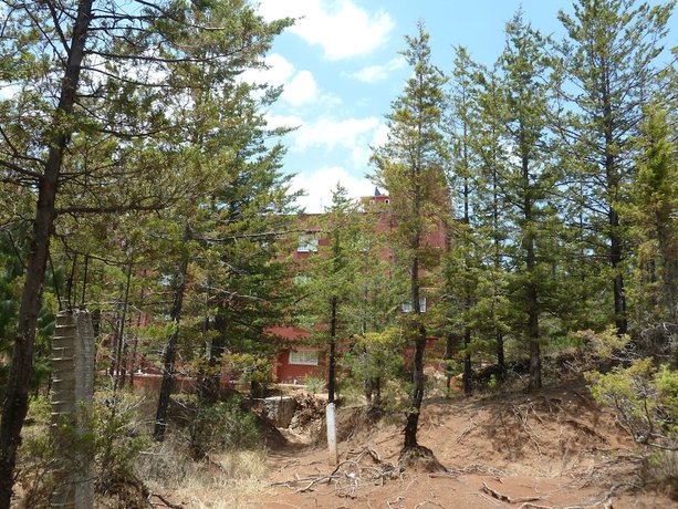 Imagen general del Hotel Gold, El Oro de Hidalgo. Foto 2