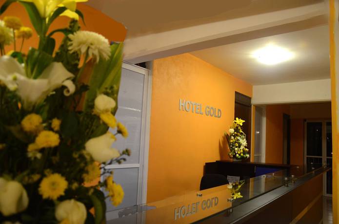 Imagen de los interiores del Hotel Gold, El Oro de Hidalgo. Foto 18