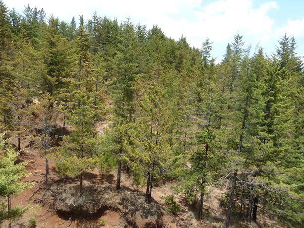 Imagen general del Hotel Gold, El Oro de Hidalgo. Foto 3