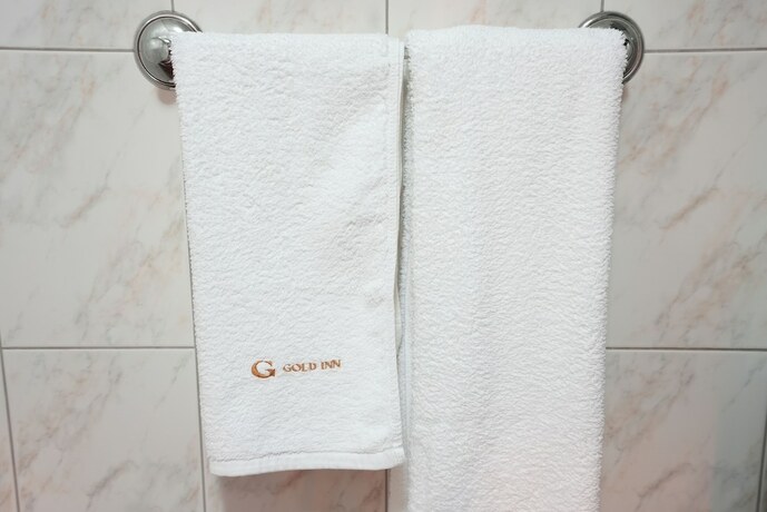 Imagen general del Hotel Gold Inn. Foto 2
