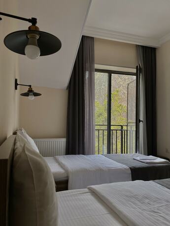 Imagen general del Hotel Gold Kazbegi. Foto 5