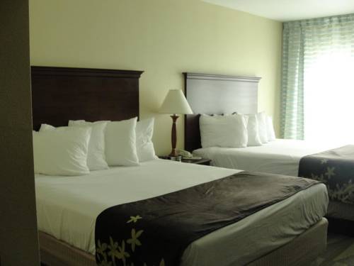 Imagen de la habitación del Hotel Gold Leaf Of Dewey - Rehoboth Beach. Foto 13