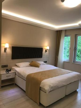 Imagen general del Hotel Gold Mina Otel. Foto 1