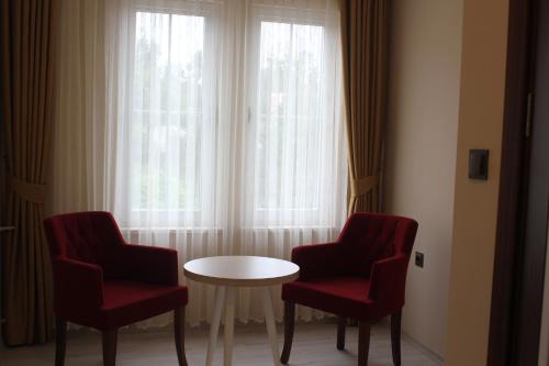 Imagen de la habitación del Hotel Gold Mina Otel. Foto 7