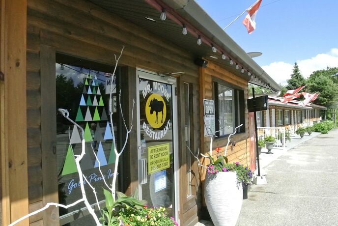 Imagen general del Hotel Gold Pine Inn Motel. Foto 5