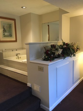 Imagen de la habitación del Hotel Gold Star Inn and Suites. Foto 15