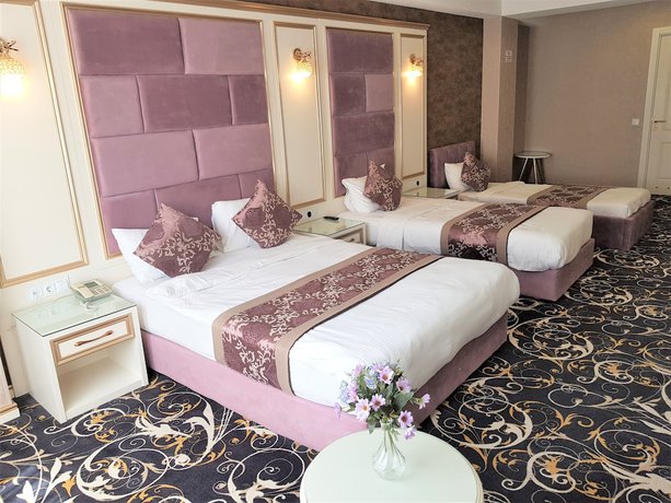 Imagen de la habitación del Hotel Gold Tbilisi. Foto 15