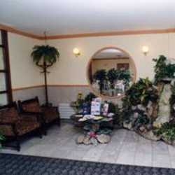 Imagen general del Hotel Gold pest. Foto 3