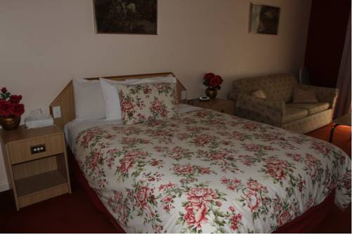 Imagen de la habitación del Hotel Golden Age Motor Inn. Foto 4