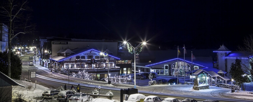 Imagen general del Hotel Golden Arrow Lakeside Resort. Foto 2