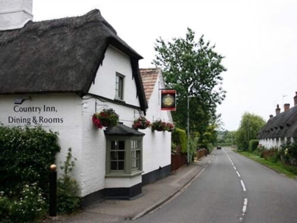 Imagen general del Hotel Golden Ball. Foto 3
