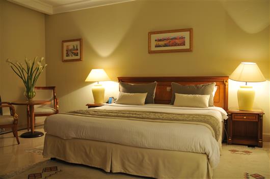 Imagen general del Hotel Golden Carthage Hotel Tunis. Foto 13