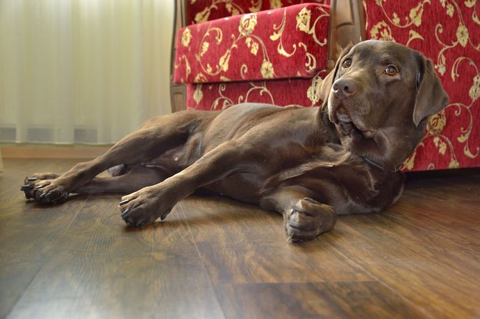Imagen de la habitación del Hotel Golden Dome Iisalmi. Foto 2