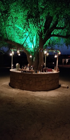 Imagen general del Hotel Golden Dune Camp. Foto 1