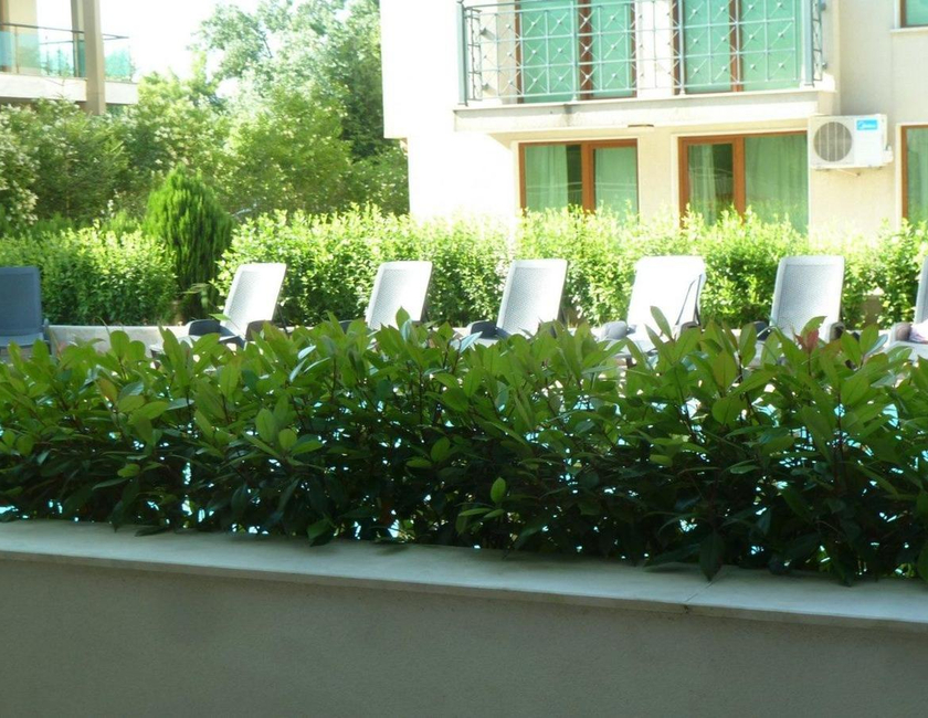 Imagen general del Hotel Golden Dunes Primorsko Apartments. Foto 11