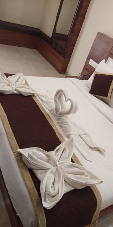 Imagen de la habitación del Hotel Golden Eagle By Keshav Globals. Foto 9