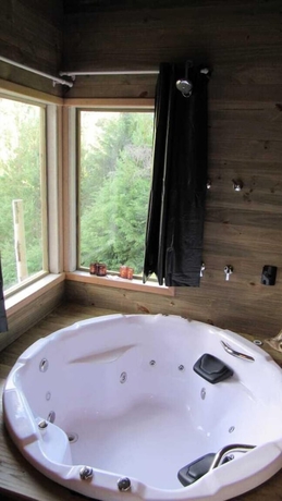 Imagen de la habitación del Hotel Golden Forest Pousada. Foto 11
