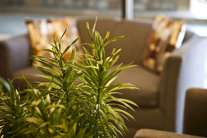 Imagen de la habitación del Hotel Golden Green. Foto 3