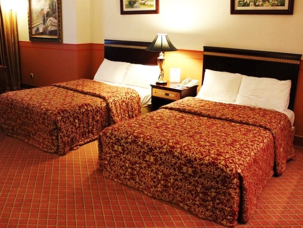 Imagen general del Hotel Golden Hotel. Foto 4