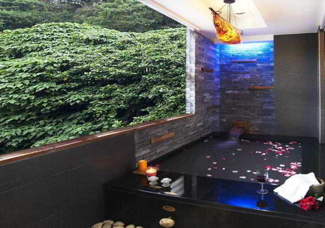 Imagen de la habitación del Hotel Golden Hotspring. Foto 9