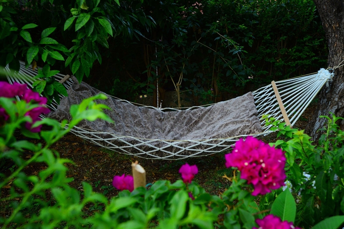 Imagen de los interiores del Hotel Golden Lighthouse. Foto 14