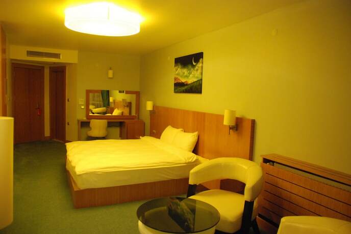 Imagen de la habitación del Hotel Golden Palas Cerkezkoy. Foto 19