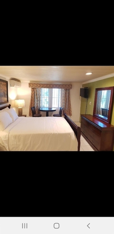 Imagen de la habitación del Hotel Golden Palms B and B. Foto 2