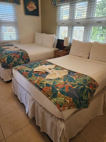 Imagen de la habitación del Hotel Golden Palms B and B. Foto 6