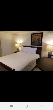 Imagen de la habitación del Hotel Golden Palms B and B. Foto 8