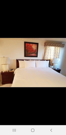 Imagen de la habitación del Hotel Golden Palms B and B. Foto 15
