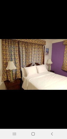 Imagen de la habitación del Hotel Golden Palms B and B. Foto 18
