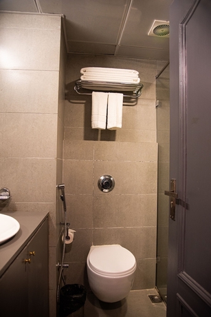 Imagen de la habitación del Hotel Golden Parkk. Foto 12