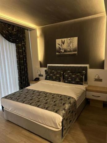 Imagen de la habitación del Hotel Golden Rose Deluxe. Foto 16