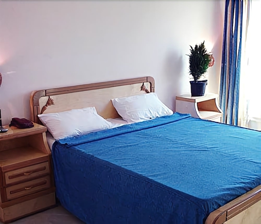 Imagen de la habitación del Hotel Golden Rose. Foto 8