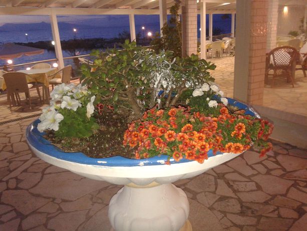 Imagen de los interiores del Hotel Golden Sunset. Foto 20