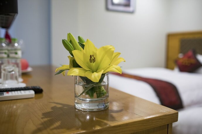 Imagen general del Hotel Golden Town. Foto 2