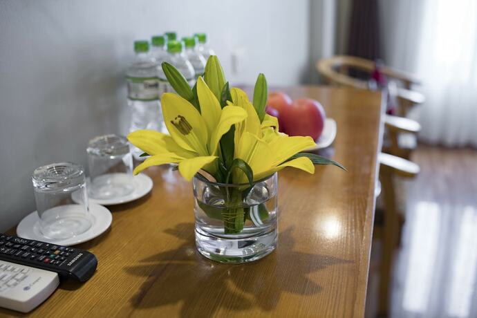 Imagen general del Hotel Golden Town. Foto 4