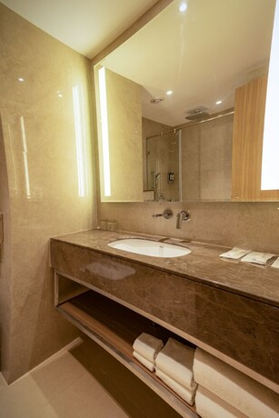 Imagen general del Hotel Golden Tulip Bhopal. Foto 8