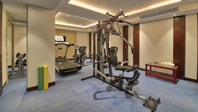 Imagen de los interiores del Hotel Golden Tulip Essential Jaipur. Foto 20