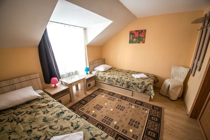 Imagen general del Hotel Golden lion, Omsk. Foto 4