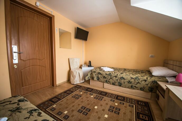 Imagen general del Hotel Golden lion, Omsk. Foto 6