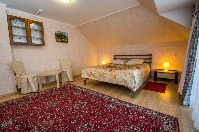 Imagen general del Hotel Golden lion, Omsk. Foto 8