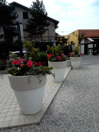 Imagen general del Hotel Goldene Rose, Rimini. Foto 6