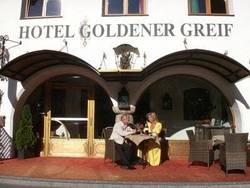 Imagen general del Hotel Goldener Greif. Foto 13