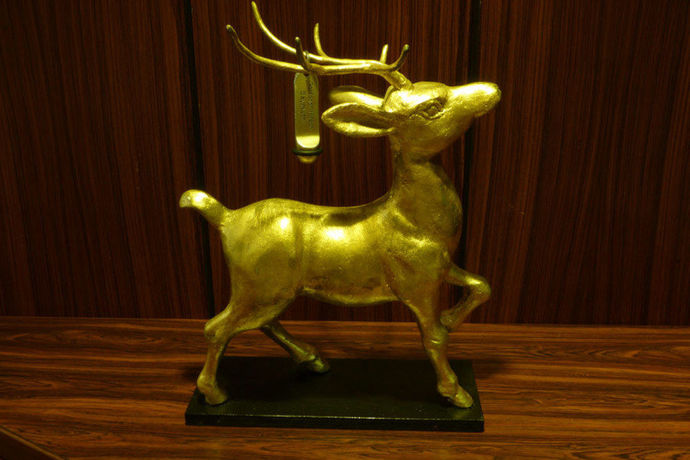 Imagen general del Hotel Goldener Hirsch, Bayreuth. Foto 2