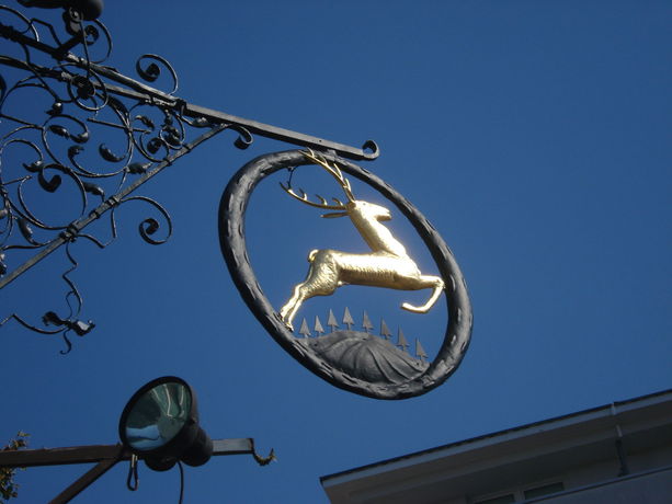 Imagen general del Hotel Goldener Hirsch, Bayreuth. Foto 3