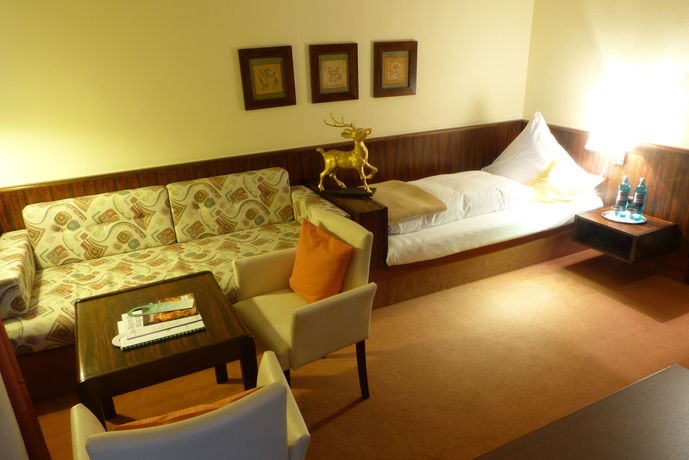 Imagen de la habitación del Hotel Goldener Hirsch, Bayreuth. Foto 8