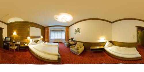 Imagen general del Hotel Goldener Loewe. Foto 11