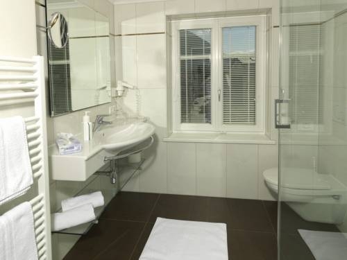 Imagen general del Hotel Goldener Loewe. Foto 13